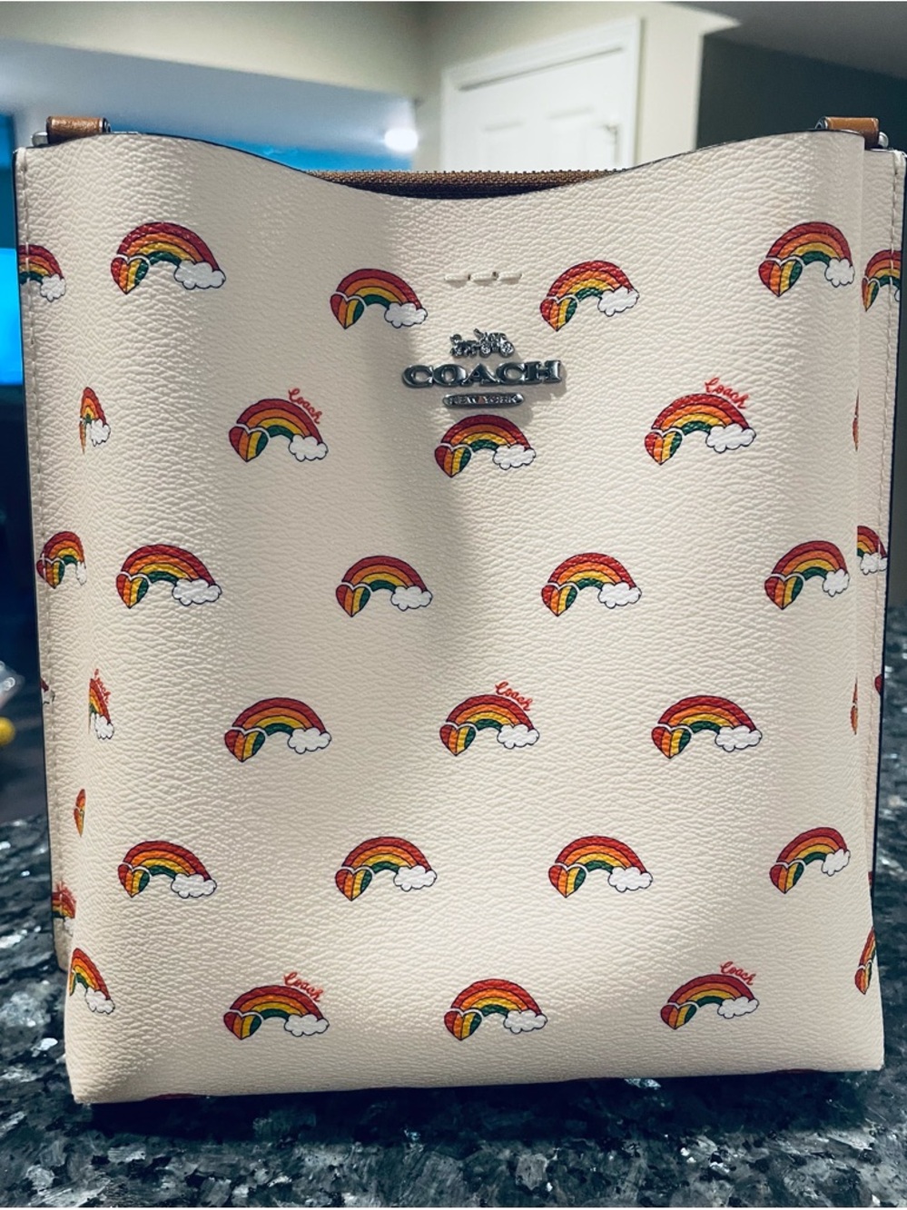 Coach Mollie 22 bucket bag in rainbow pride print.